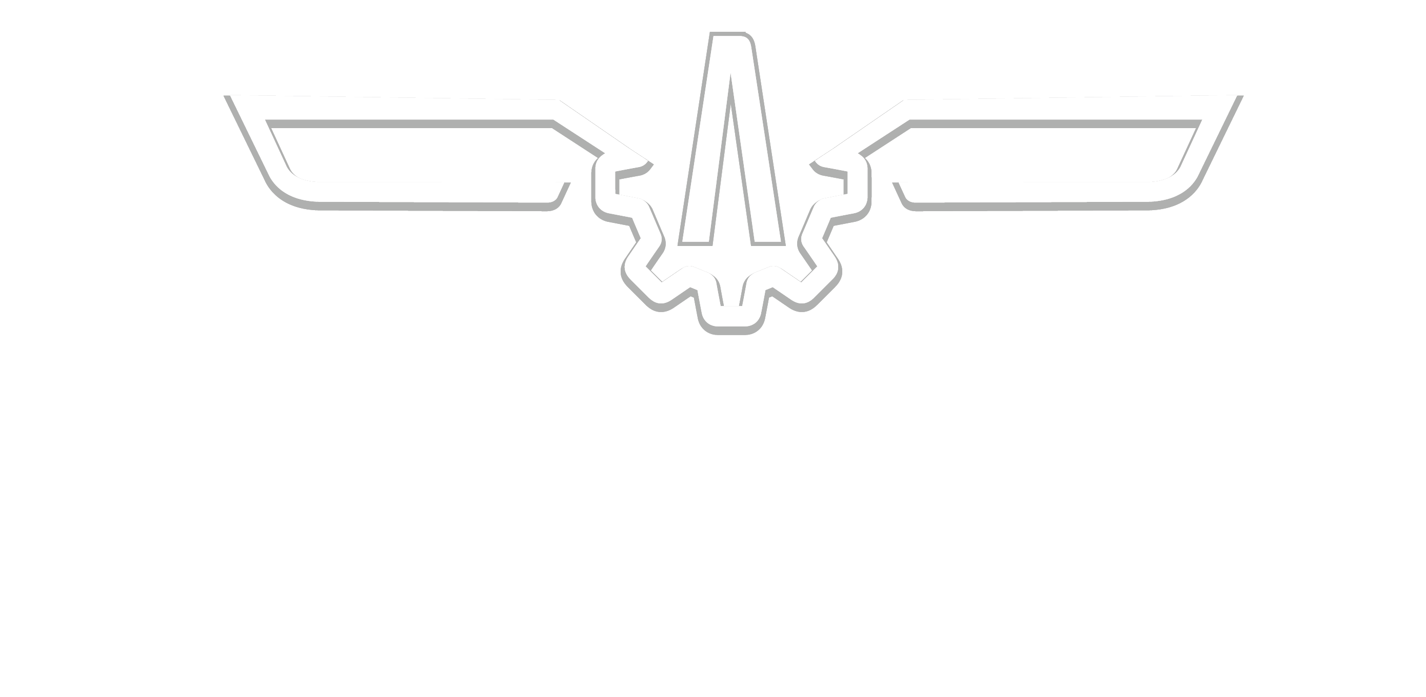 Argente Aviación